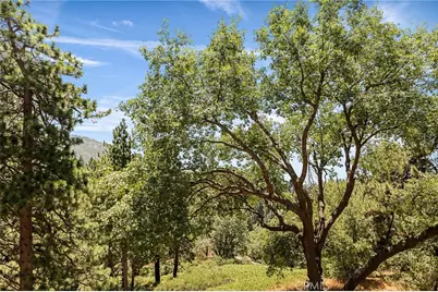 2461 Spring Oak Drive, Running Springs, CA 92382 - Photo 44