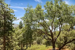 2461 Spring Oak Dr, Running Springs, CA 92382 - Photo 44