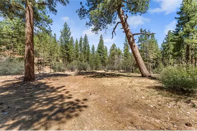298 Dixie Lee Lane, Big Bear Lake, CA 92386 - Photo 42