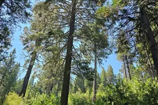 0 Lovers Ln, Cedarpines Park, CA 92322 - Photo 1