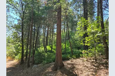 0 Lovers Lane, Cedarpines Park, CA 92322 - Photo 8