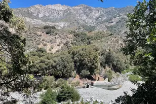 39722 Valley of the Falls Dr, Forest Falls, CA 92339 - Photo 50