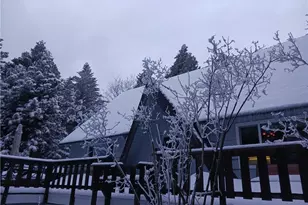 31124 All View Dr, Running Springs, CA 92382 - Photo 32