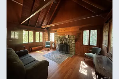 39505 Canyon Drive, Forest Falls, CA 92339 - Photo 4