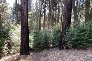 386 Garden Dr, Cedarpines Park, CA 92322 - Photo 44