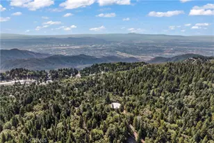 1139 Bear Springs Rd, Rimforest, CA 92378 - Photo 44