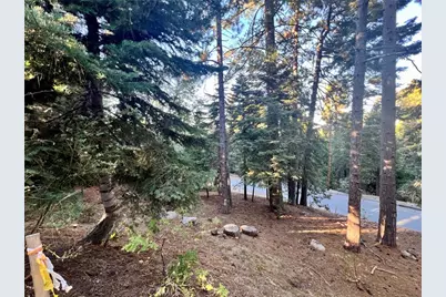 26405 Walnut Hills, Lake Arrowhead, CA 92391 - Photo 6