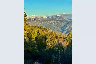 1226 Bridal Path, Rimforest, CA 92378 - Photo 16