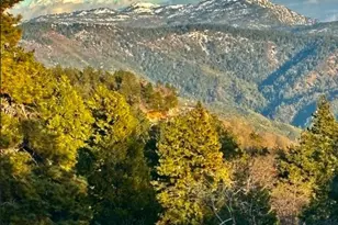 1226 Bridal Path, Rimforest, CA 92378 - Photo 16