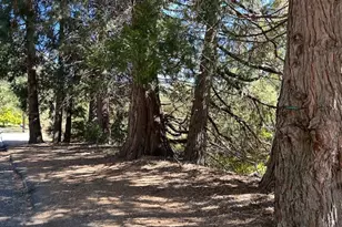 22348 Glenwood, Crestline, CA 92325 - Photo 6