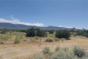 31 Hwy 138, Llano, CA 93544 - Photo 1