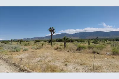 31 Hwy 138, Llano, CA 93544 - Photo 4
