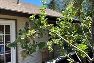 489 Dorn, Crestline, CA 92325 - Photo 44