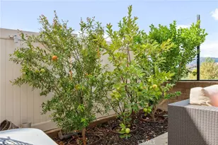 24719 Branch Ct, Corona, CA 92883 - Photo 40