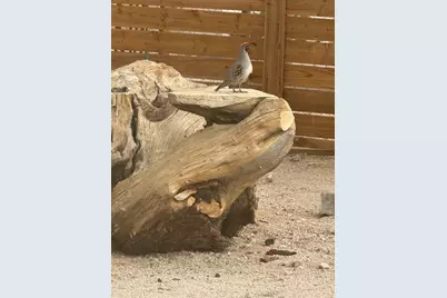 74707 Sunset, 29 Palms MCB, CA 92277 - Photo 38