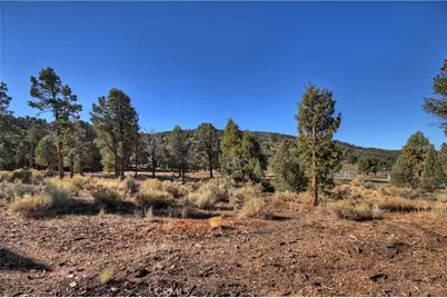 0 Minnow, Big Bear City, CA 92314 - Photo 16