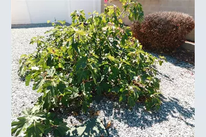 853 Santa Teresa Way, Hemet, CA 92545 - Photo 60