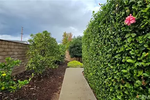 1230 San Pablo, Redlands, CA 92373 - Photo 42