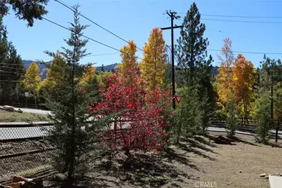 592 Douglas Street, Big Bear Lake, CA 92315 - Photo 40