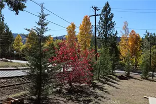 592 Douglas St, Big Bear Lake, CA 92315 - Photo 40