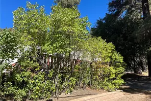 39950 7 Oaks, Angeles Oaks, CA 92305 - Photo 4