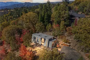 22 Holly Dr, Running Springs, CA 92382 - Photo 60