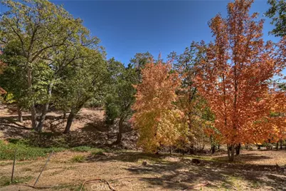22 Holly Drive, Running Springs, CA 92382 - Photo 48