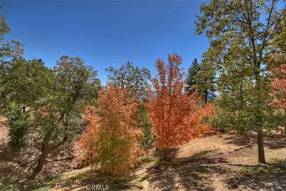 22 Holly Drive, Running Springs, CA 92382 - Photo 12