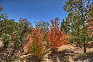 22 Holly Dr, Running Springs, CA 92382 - Photo 12