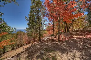 22 Holly Dr, Running Springs, CA 92382 - Photo 52