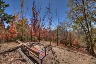 22 Holly Dr, Running Springs, CA 92382 - Photo 50