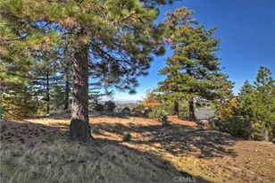 26077 Walnut Hills, Lake Arrowhead, CA 92352 - Photo 54