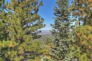 26077 Walnut Hills, Lake Arrowhead, CA 92352 - Photo 48