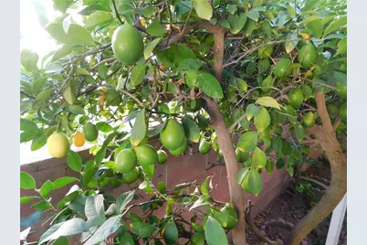 10675 Bryant Street #112, Yucaipa, CA 92399 - Photo 44