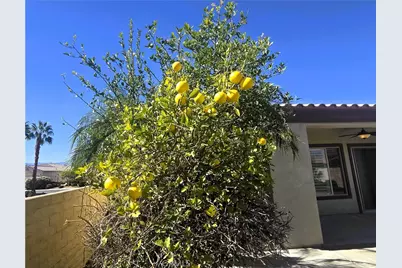 40188 Calle Ebano, Indio, CA 92203 - Photo 28