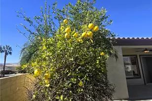 40188 Calle Ebano, Indio, CA 92203 - Photo 28