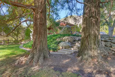 39292 Oak Glen Road, Oak Glen, CA 92399 - Photo 10