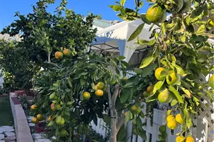 4000 Pierce, Riverside, CA 92505 - Photo 18