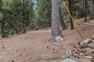 26791 Hwy 189, Twin Peaks, CA 92391 - Photo 34