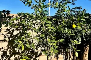 879 Derby, Corona, CA 92882 - Photo 44