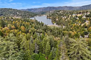 24646 Lake Gregory, Crestline, CA 92325 - Photo 28