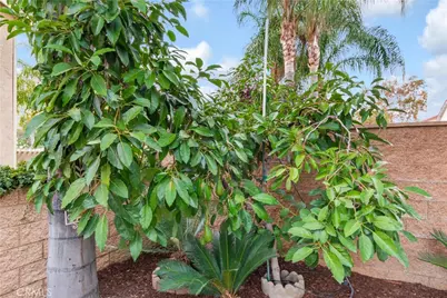 1617 Waterford, Redlands, CA 92374 - Photo 28