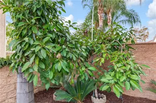 1617 Waterford, Redlands, CA 92374 - Photo 28