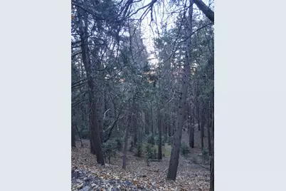 0 Reservoir, Cedarpines Park, CA 92322 - Photo 1