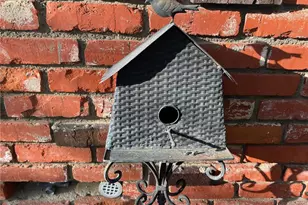 28972 N Shore Rd, Lake Arrowhead, CA 92352 - Photo 14