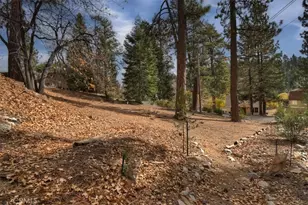 929 Andrew Ln, Big Bear Lake, CA 92315 - Photo 30