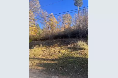 29834 Juniper Drive, Cedar Glen, CA 92321 - Photo 4