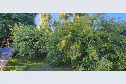 33508 Orange Street, Wildomar, CA 92595 - Photo 12