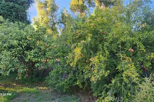 33508 Orange St, Wildomar, CA 92595 - Photo 12