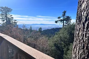 25515 True, Twin Peaks, CA 92391 - Photo 18